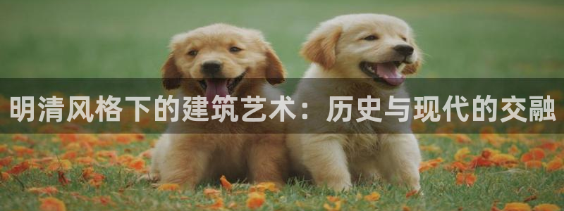 信安杯12：明清风格下的建筑艺术：历史与现代的交融