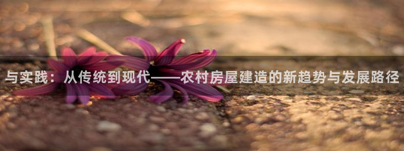 安信12官网qq：与实践：从传统到现代——农村房屋建造的新趋势与发展路径