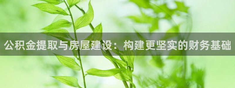 安信12登录地址：公积金提取与房屋建设：构建更坚实的财务基础