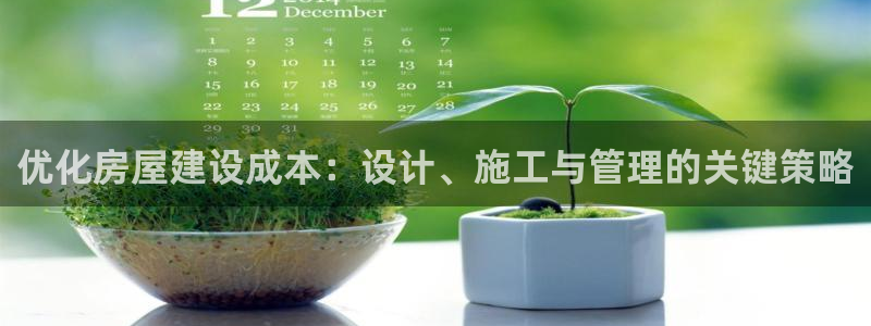 安立信T12测评：优化房屋建设成本：设计、施工与管理的关键策略