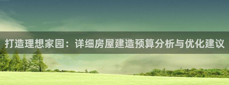 安信12主管：打造理想家园：详细房屋建造预算分析与优化建议