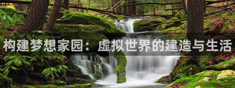 安信12是做什么：构建梦想家园：虚拟世界的建造与生活