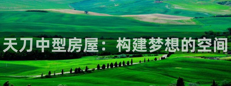 安信122853179Z空间：天刀中型房屋：构建梦想的空间