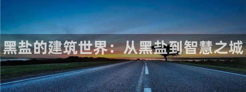 安信锐赢134号12月：黑盐的建筑世界：从黑盐到智慧之城