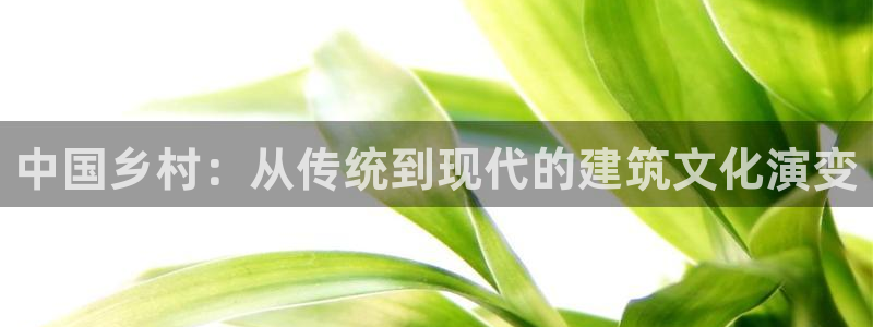 安信卓越12月：中国乡村：从传统到现代的建筑文化演变