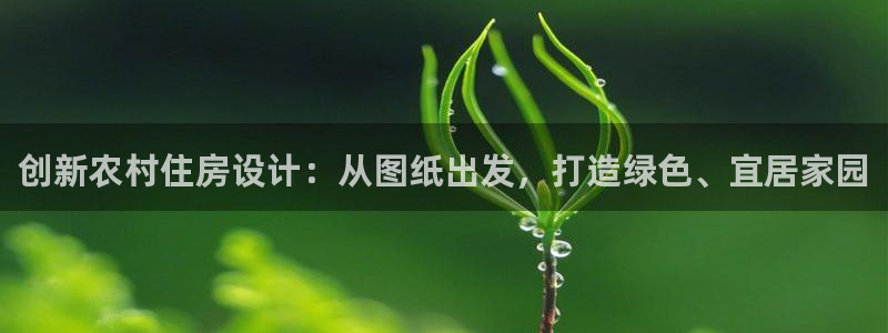 安信12是什么软件：创新农村住房设计：从图纸出发，打造绿色、宜居家园