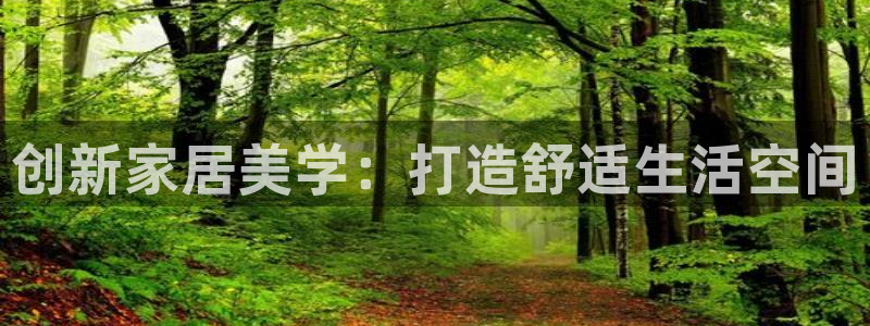 安信12账号：创新家居美学：打造舒适生活空间