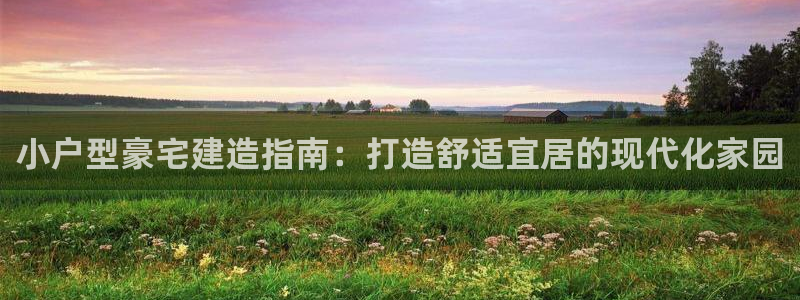 安信12怎么下载：小户型豪宅建造指南：打造舒适宜居的现代化家园