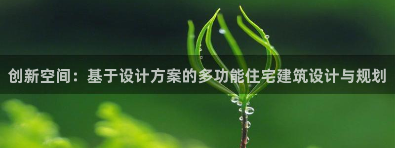 下载安信12：创新空间：基于设计方案的多功能住宅建筑设计与规划