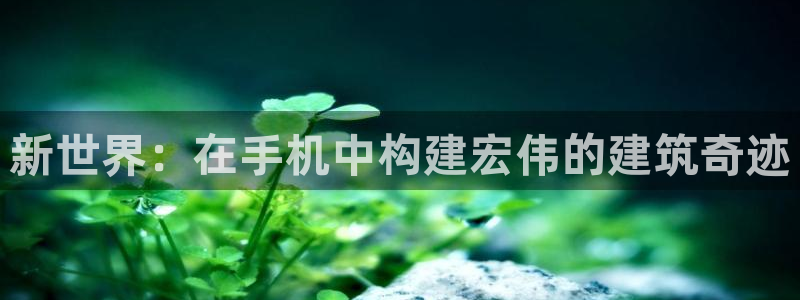 安信安赢12号：新世界：在手机中构建宏伟的建筑奇迹