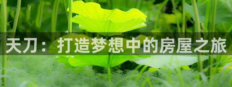 安信主管su金12手12指tq：天刀：打造梦想中的房屋之旅