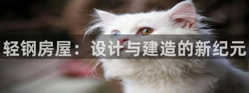 安信12登录：轻钢房屋：设计与建造的新纪元