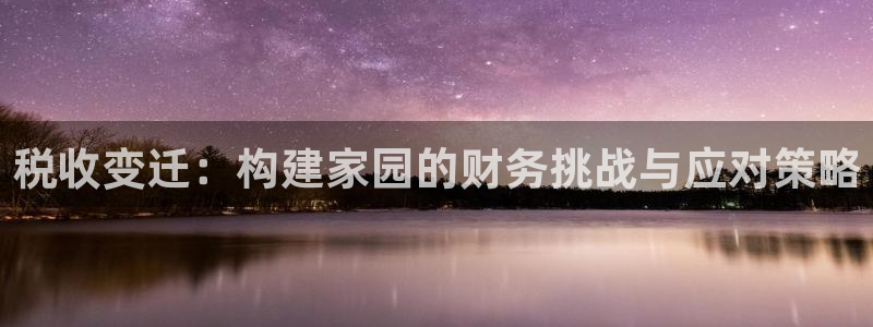 安信可12f代码：税收变迁：构建家园的财务挑战与应对策略