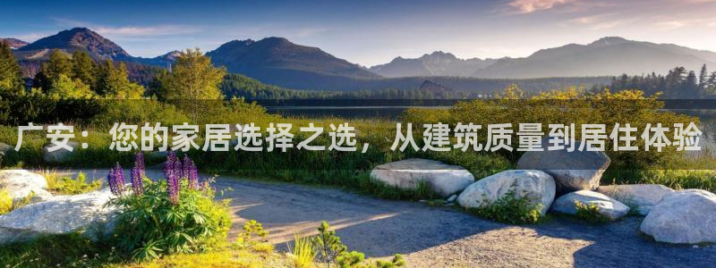 信安12乐打棒：广安：您的家居选择之选，从建筑质量到居住体验