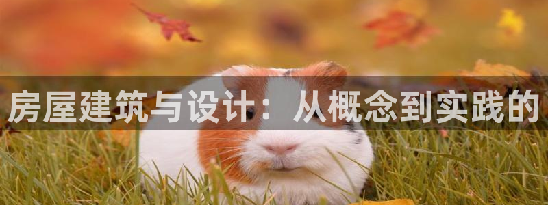 安信12挂机：房屋建筑与设计：从概念到实践的