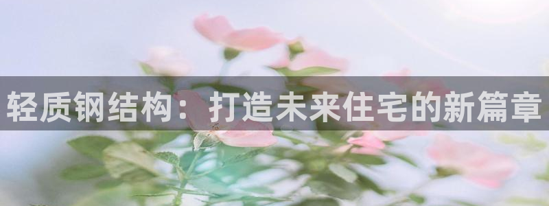 安信12娱乐登录网页：轻质钢结构：打造未来住宅的新篇章