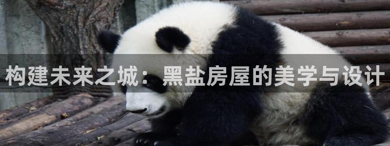 安信可 esp-12：构建未来之城：黑盐房屋的美学与设计