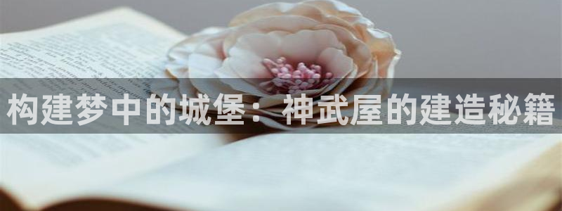 安信可 esp-12：构建梦中的城堡：神武屋的建造秘籍