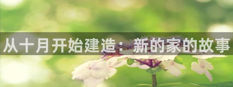 安信12是什么：从十月开始建造：新的家的故事