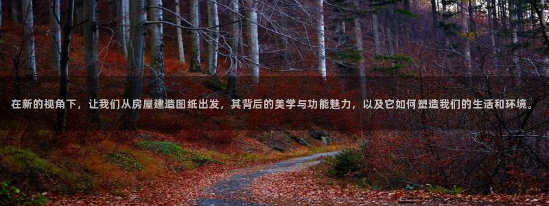 安信12是正规平台吗：在新的视角下，让我们从房屋建造图纸出发，其背后的美学与功能魅力，以及它如何塑造我们的生活和环境。
