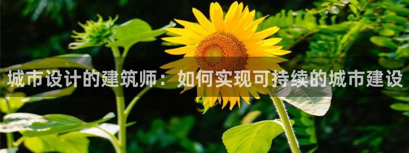 安信12招商：城市设计的建筑师：如何实现可持续的城市建设