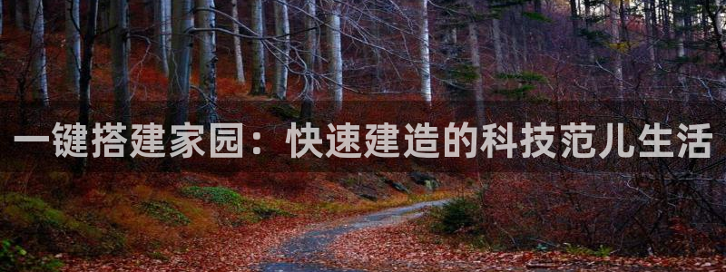 安信12招商：一键搭建家园：快速建造的科技范儿生活