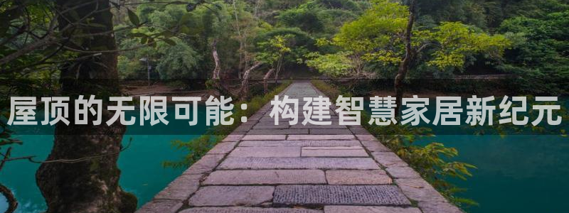 安信12注册登录下戴：屋顶的无限可能：构建智慧家居新纪元