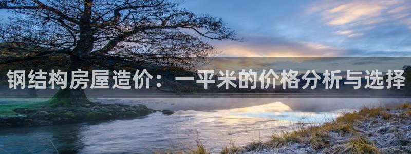 安信12是做什么：钢结构房屋造价：一平米的价格分析与选择