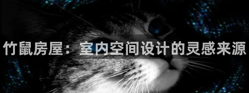 安信可12f代码：竹鼠房屋：室内空间设计的灵感来源