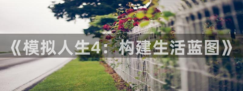 安信12位资金账号：《模拟人生4：构建生活蓝图》