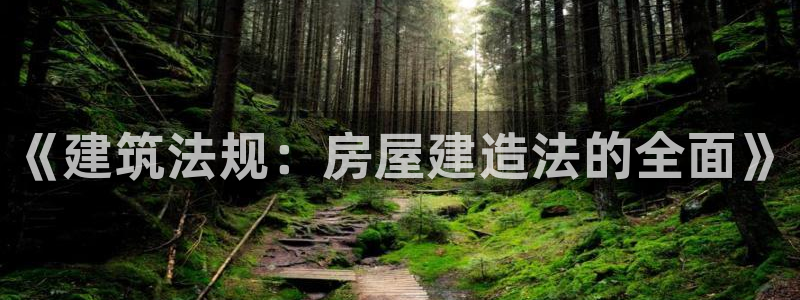 安信12是什么平台：《建筑法规：房屋建造法的全面》