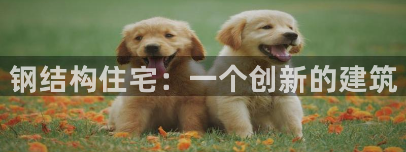 安信12彩票在线网址：钢结构住宅：一个创新的建筑