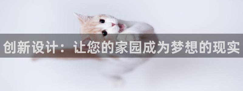 信安12：创新设计：让您的家园成为梦想的现实