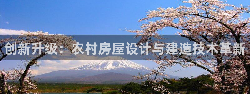 安信12登录网址：创新升级：农村房屋设计与建造技术革新