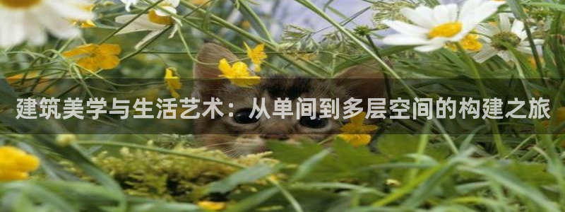 安信可12f代码：建筑美学与生活艺术：从单间到多层空间的构建之旅