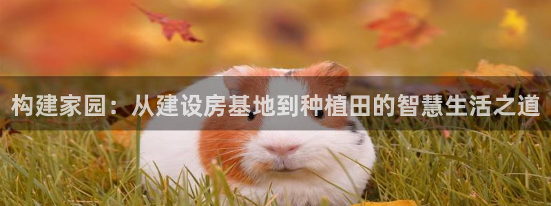 安信12级灯牌：构建家园：从建设房基地到种植田的智慧生活之道