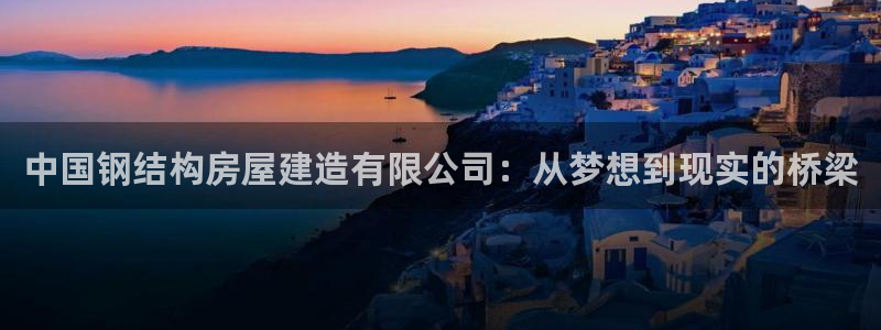 安信12正版下载：中国钢结构房屋建造有限公司：从梦想到现实的桥梁