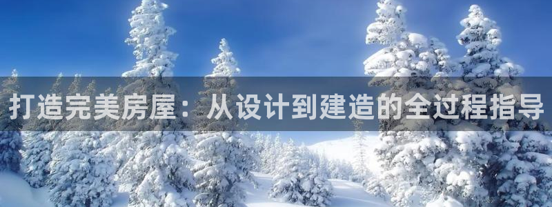 安信12网页版：打造完美房屋：从设计到建造的全过程指导