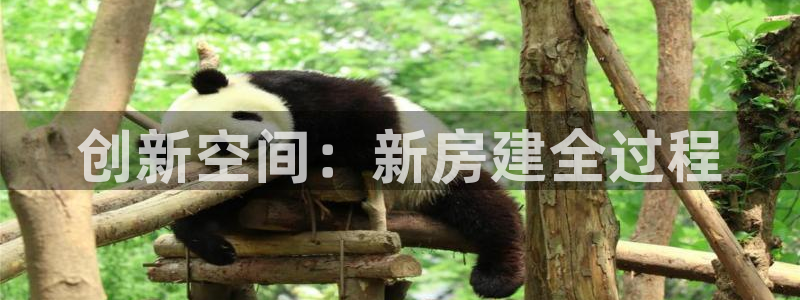 安信12软件介绍：创新空间：新房建全过程