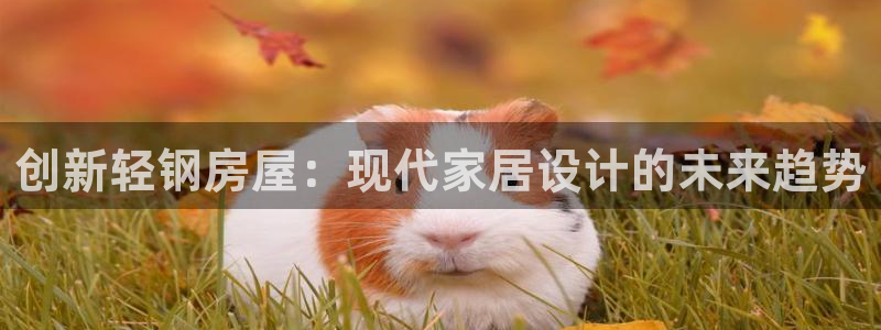 安信12平台开户：创新轻钢房屋：现代家居设计的未来趋势