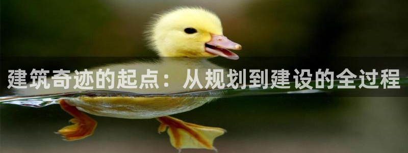 下载安信12：建筑奇迹的起点：从规划到建设的全过程