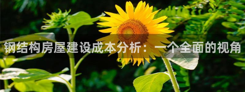 安立信12改装：钢结构房屋建设成本分析：一个全面的视角