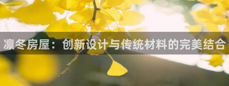 安信t12：凛冬房屋：创新设计与传统材料的完美结合