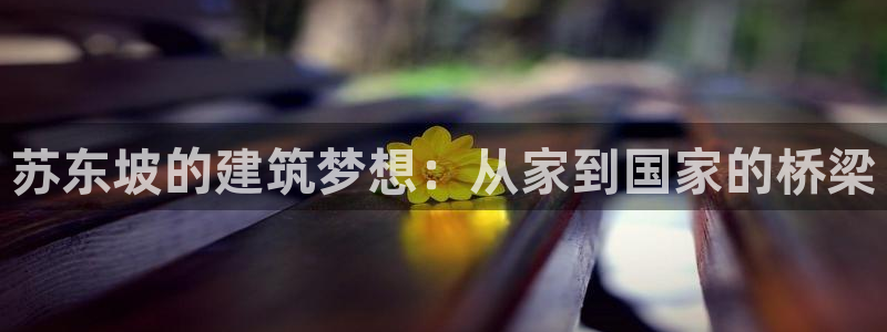 安信可12f代码：苏东坡的建筑梦想：从家到国家的桥梁
