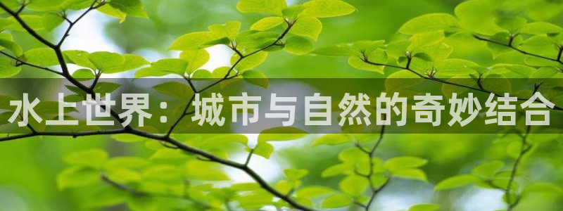 安信12官方网站查询：水上世界：城市与自然的奇妙结合