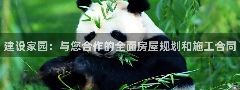 安信12登录：建设家园：与您合作的全面房屋规划和施工合同