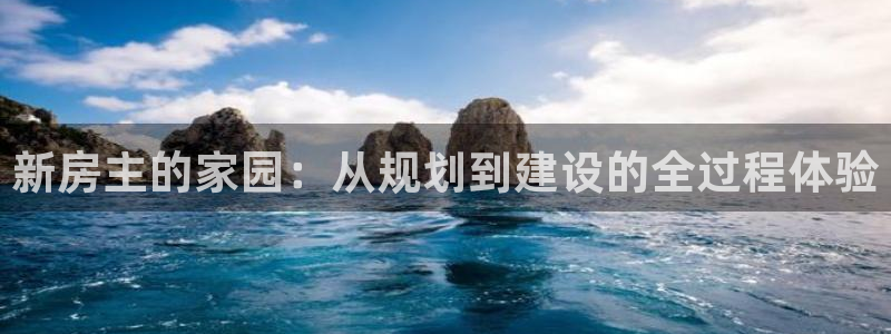 安信12：新房主的家园：从规划到建设的全过程体验