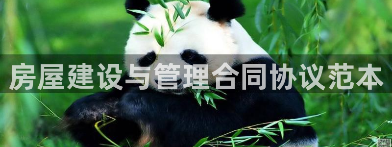 安信12代理：房屋建设与管理合同协议范本