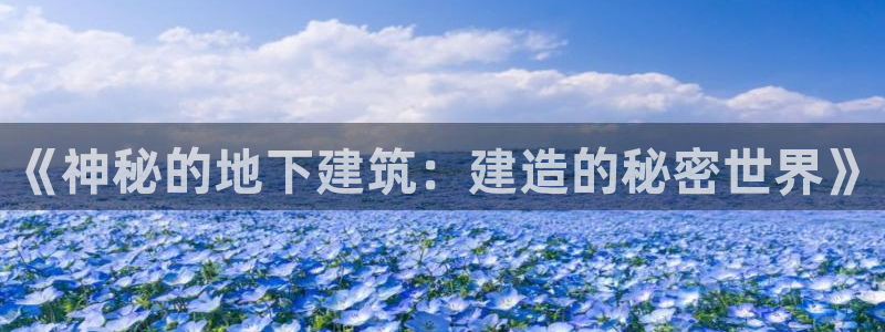 安信12app下载：《神秘的地下建筑：建造的秘密世界》