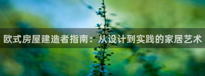 安信12娱乐登录：欧式房屋建造者指南：从设计到实践的家居艺术